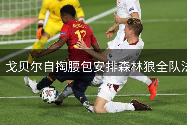 戈贝尔自掏腰包安排森林狼全队法国合练行程