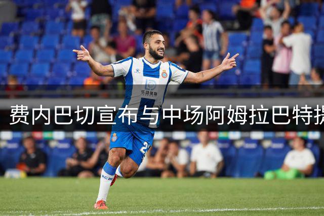 费内巴切宣布与中场阿姆拉巴特提前终止合约